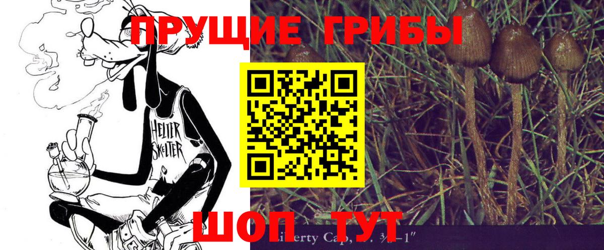 Псилоцибиновые грибы прущие грибы Зима