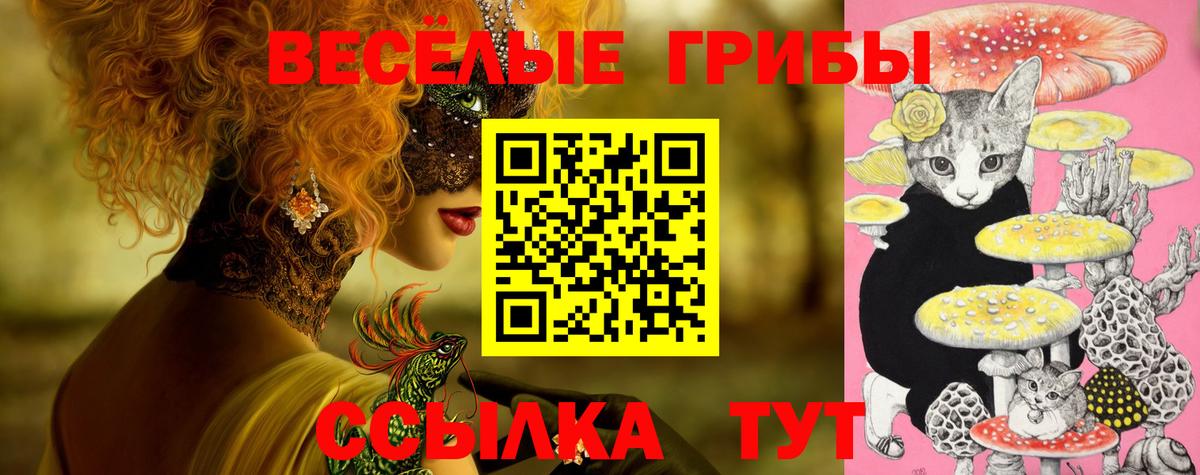 Псилоцибиновые грибы Psilocybe  Вход с VPN  Зима 