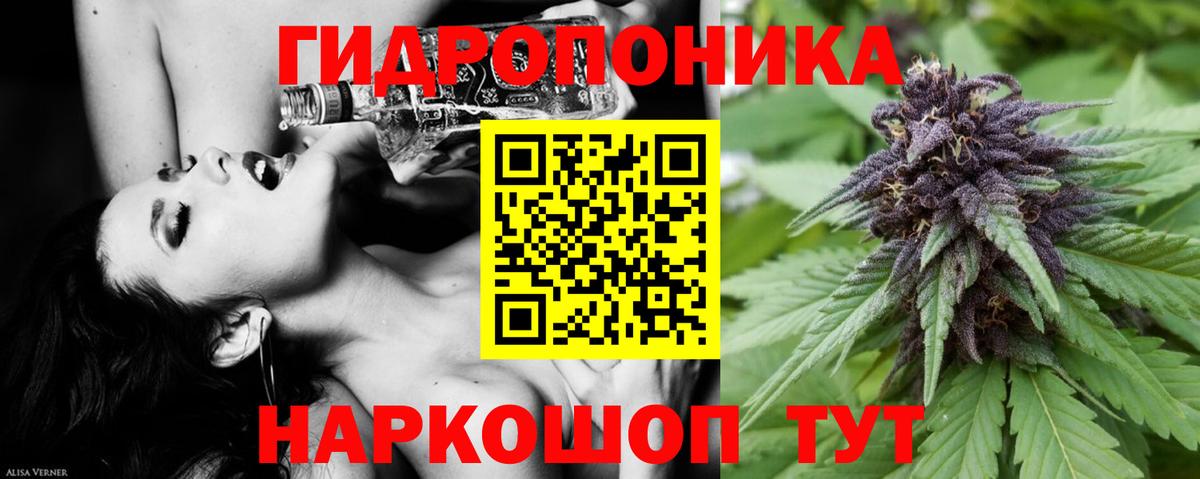 Шишки марихуана сатива  Шишки марихуана SATIVA & INDICA  Зима  Вход с VPN 